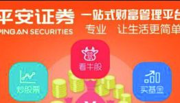 平安证券新用户专享1G流量