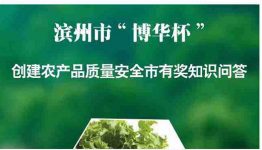 云滨州，答题赢红包